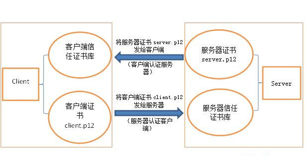什么是SSL證書？它的作用是什么？一